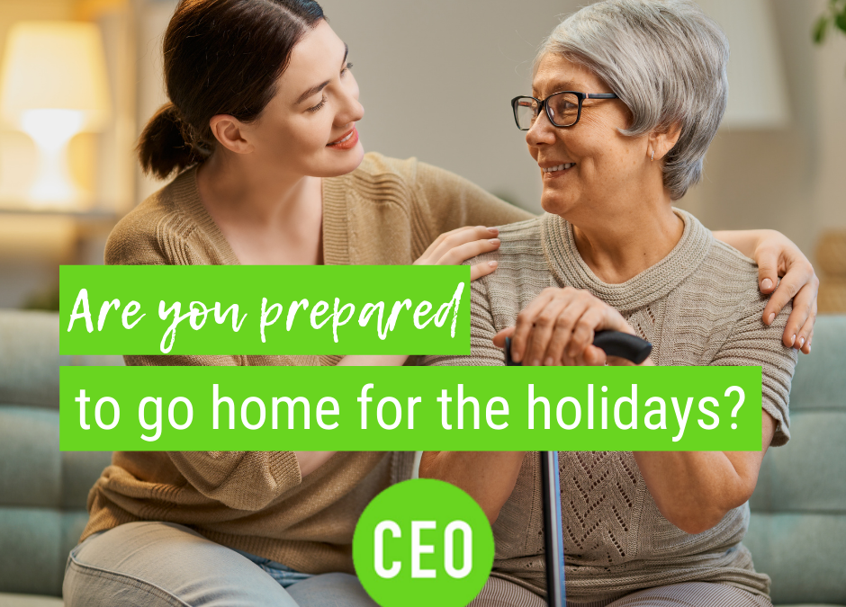 Are You Prepared to Go Home for the Holidays?