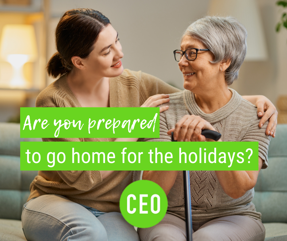 Are You Prepared to Go Home for the Holidays?